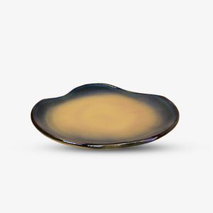 Blue_&_Beige_Ocean_Plate_1